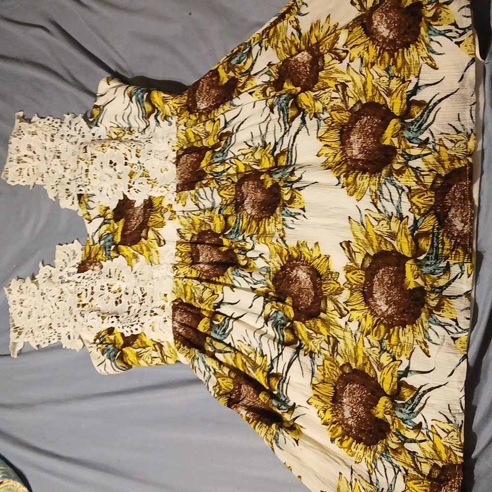 Southern fried chics sundress